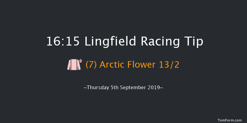 Lingfield 16:15 Handicap (Class 6) 7f Sat 31st Aug 2019