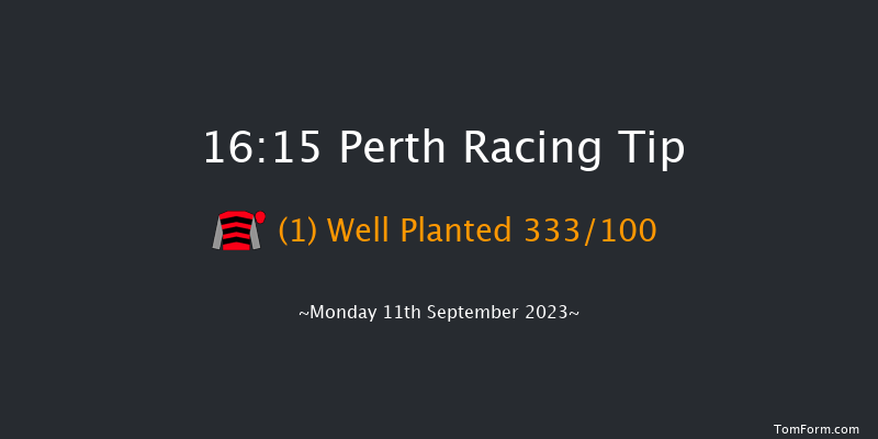 Perth 16:15 Handicap Hurdle (Class 4) 16f Sat 19th Aug 2023