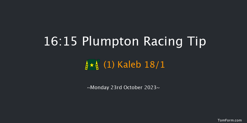 Plumpton 16:15 Handicap Hurdle (Class 3) 16f Sun 24th Sep 2023