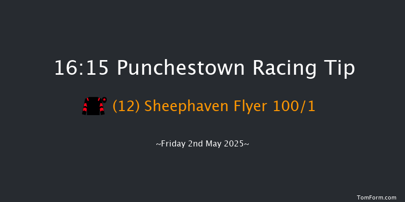 Punchestown 16-15 24f Thu 1st May 2025