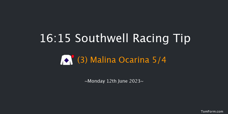 Southwell 16:15 Handicap Hurdle (Class 5) 20f Tue 6th Jun 2023
