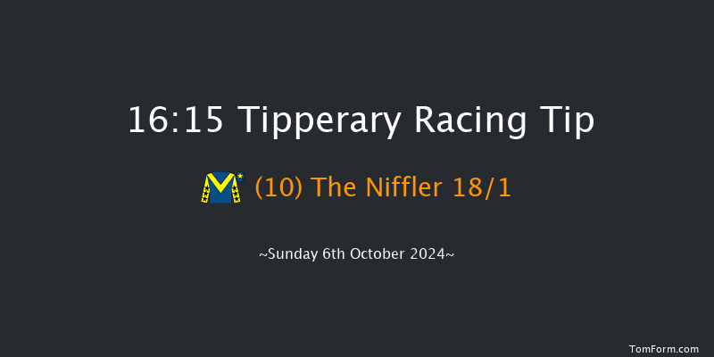Tipperary  16:15 Handicap Hurdle 16f Sun 1st Sep 2024