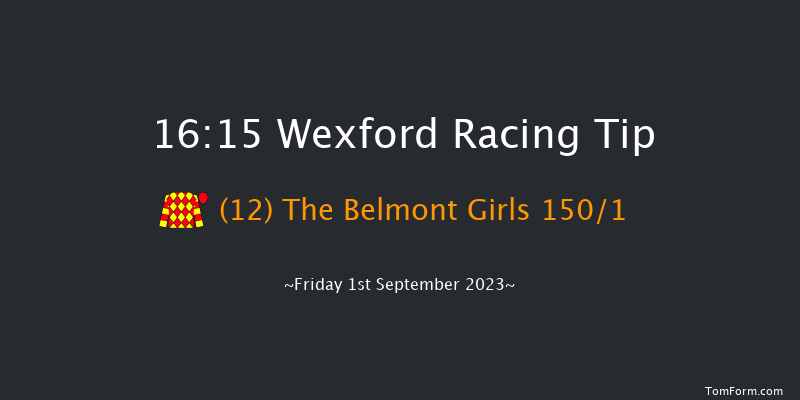 Wexford 16:15 Maiden Hurdle 16f Fri 11th Aug 2023