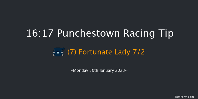 Punchestown 16:17 Handicap Hurdle 24f Mon 16th Jan 2023