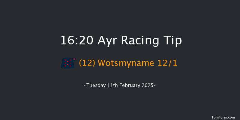 Ayr  16:20 Handicap Chase (Class 5) 24f Tue 21st Jan 2025
