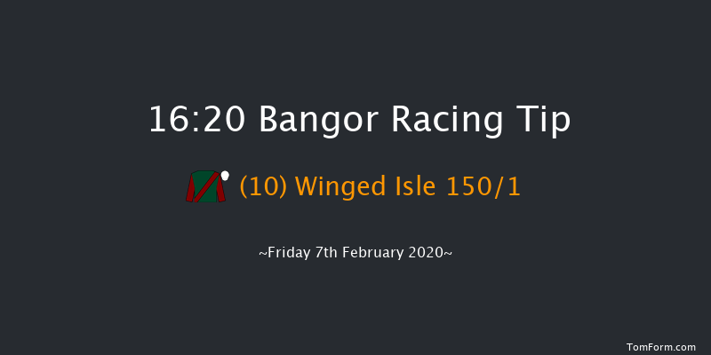 Bangor 16:20 Novices Hurdle (Class 4) 17f Fri 13th Dec 2019