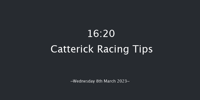 Catterick 16:20 NH Flat Race (Class 5) 16f Tue 28th Feb 2023