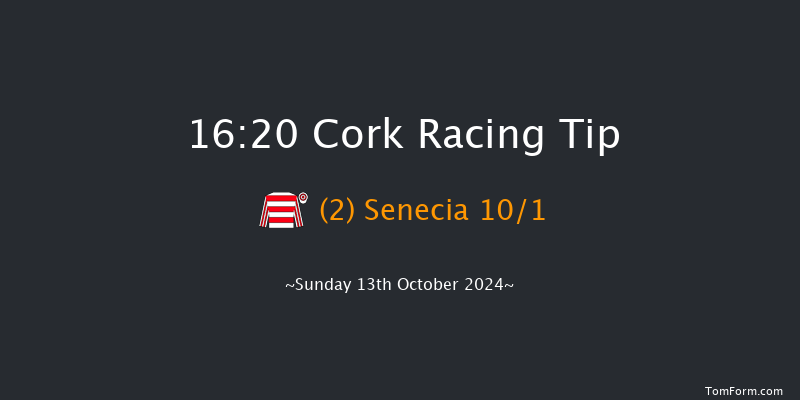 Cork  16:20 Handicap Chase 18f Tue 1st Oct 2024