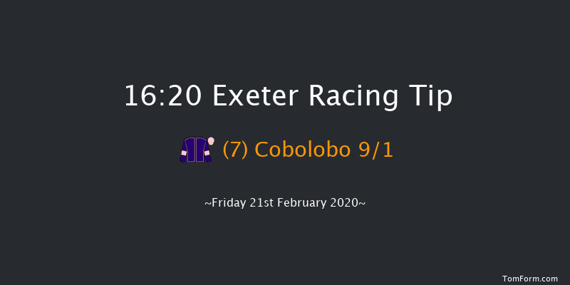 Be Wiser Insurance Devon National Handicap Chase Exeter 16:20 Handicap Chase (Class 3) 31f Tue 21st Jan 2020