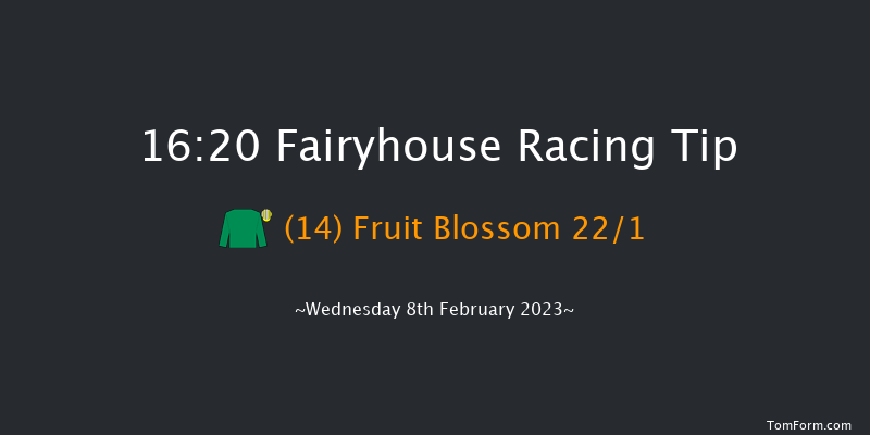 Fairyhouse 16:20 Handicap Hurdle 20f Sat 28th Jan 2023