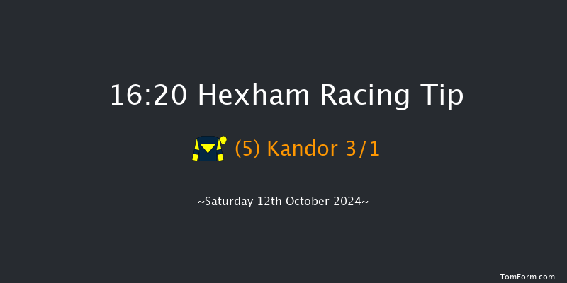 Hexham  16:20 Handicap Hurdle (Class 3) 23f  Fri 4th Oct 2024