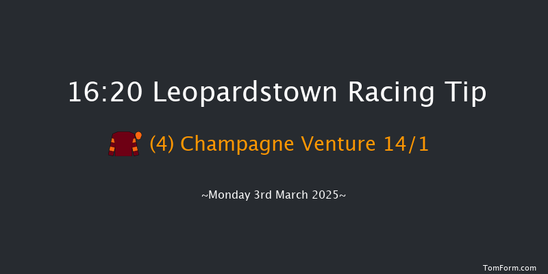 Leopardstown  16:20 NH Flat Race 16f Sun 2nd Mar 2025