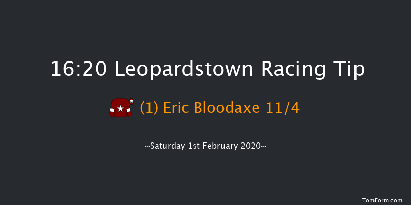 Leopardstown 16:20 NH Flat Race 16f Sun 29th Dec 2019
