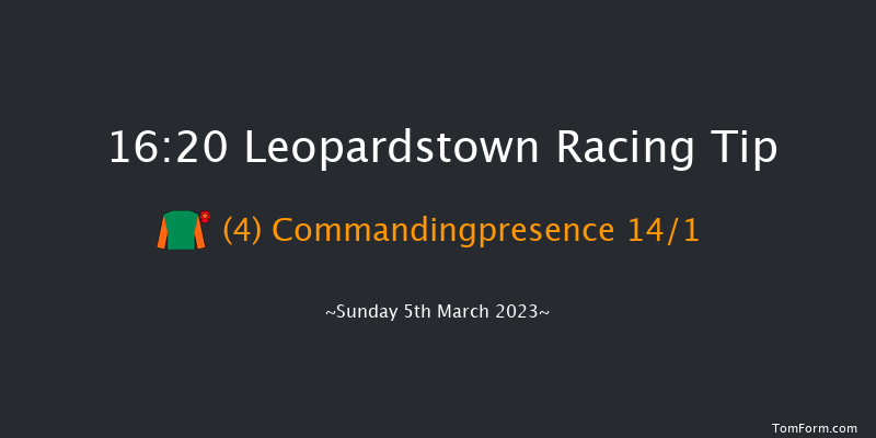 Leopardstown 16:20 Novices Chase 17f Sun 5th Feb 2023