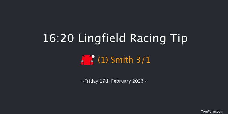 Lingfield 16:20 Handicap (Class 6) 16f Tue 14th Feb 2023