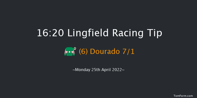 Lingfield 16:20 Handicap (Class 5) 7f Wed 20th Apr 2022