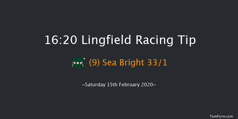 Ladbrokes Where The Nation Plays Handicap Lingfield 16:20 Handicap (Class 6) 12f Fri 14th Feb 2020