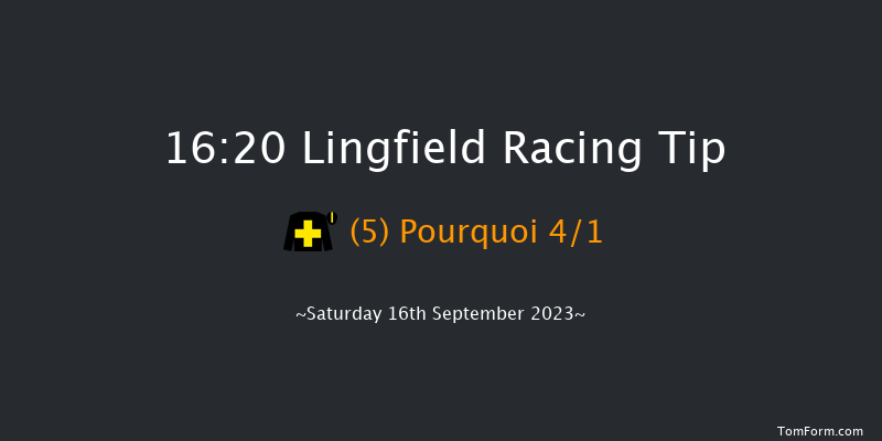 Lingfield 16:20 Stakes (Class 3) 10f Wed 6th Sep 2023