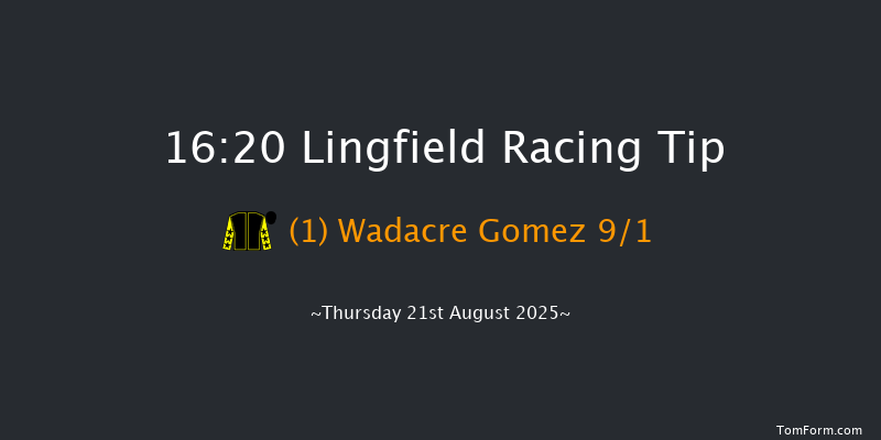 Lingfield 16-20 (Class 4) 12f Tue 12th Aug 2025