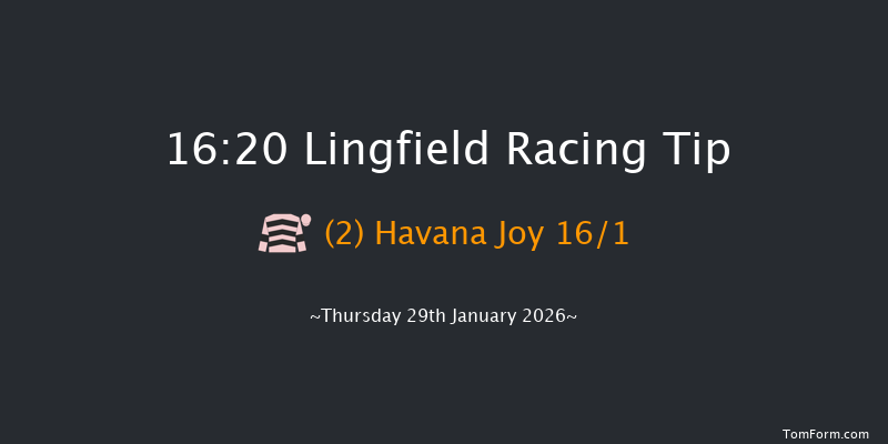 Lingfield 16-20 (Class 5) 6f Sat 24th Jan 2026