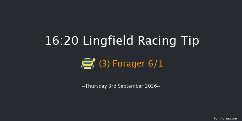 Lingfield 16-20 (Class 4) 5f Tue 1st Sep 2026