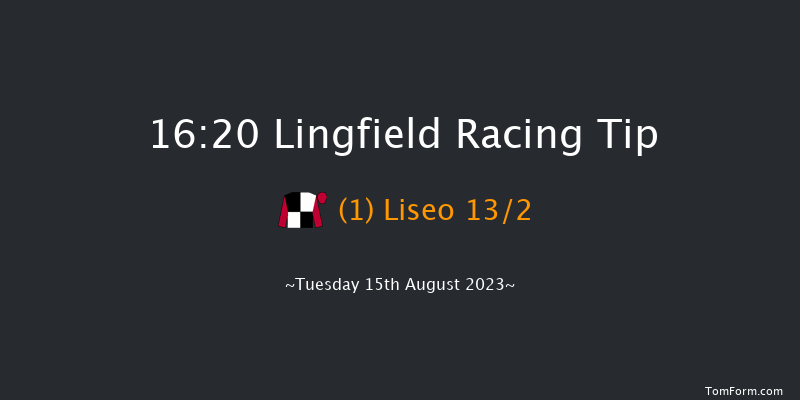 Lingfield 16:20 Maiden (Class 5) 9f Sat 12th Aug 2023