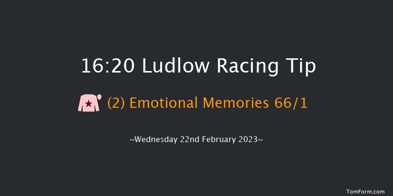 Ludlow 16:20 Maiden Hurdle (Class 4) 24f Fri 6th Jan 2023