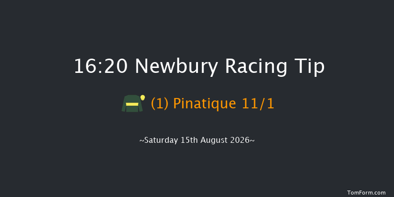 Newbury 16-20 (Class 4) 12f Fri 14th Aug 2026