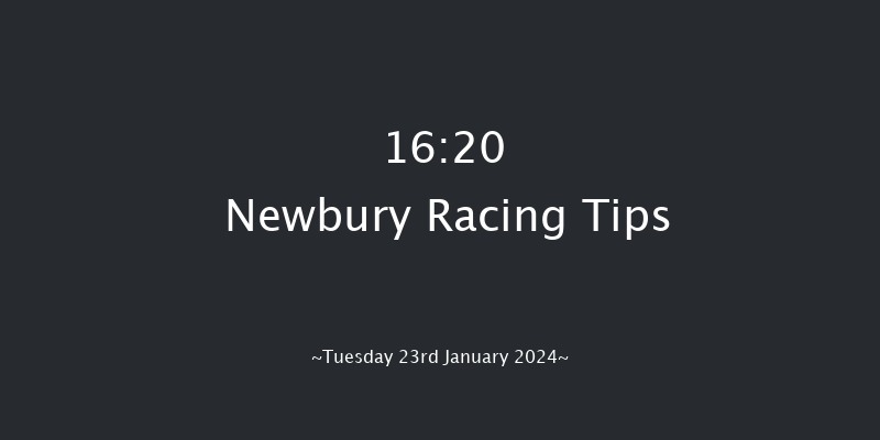 Newbury 16:20 NH Flat Race
(Class 4) 16f Sat 30th Dec 2023