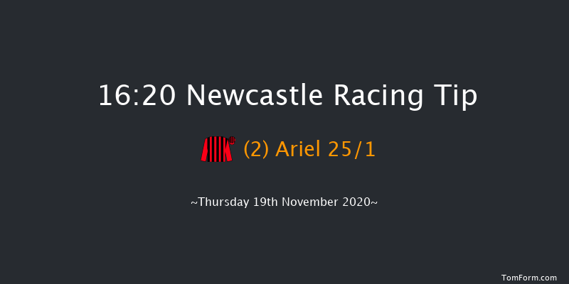 Ladbrokes Watch Racing Online Daily Free EBF Novice Stakes Newcastle 16:20 Stakes (Class 5) 7f Tue 17th Nov 2020