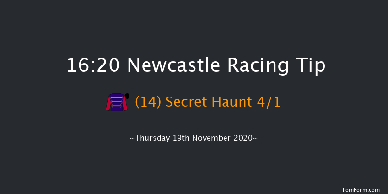 Ladbrokes Watch Racing Online Daily Free EBF Novice Stakes Newcastle 16:20 Stakes (Class 5) 7f Tue 17th Nov 2020