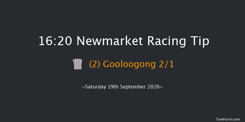 Newmarket 16-20 (Class 3) 18f Sat 22nd Aug 2026