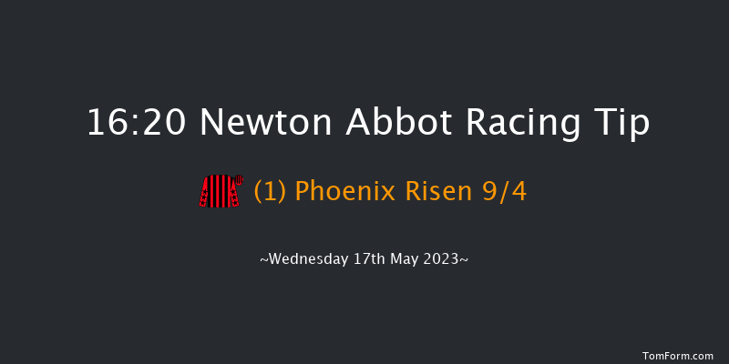 Newton Abbot 16:20 Handicap Hurdle (Class 5) 18f Sat 8th Apr 2023