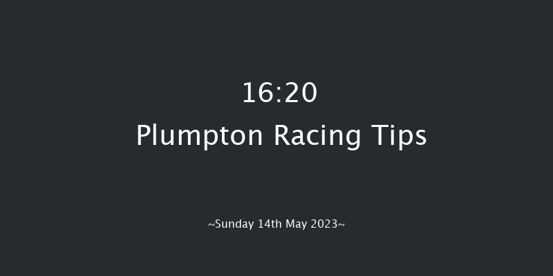 Plumpton 16:20 Handicap Chase (Class 4) 26f Sun 23rd Apr 2023
