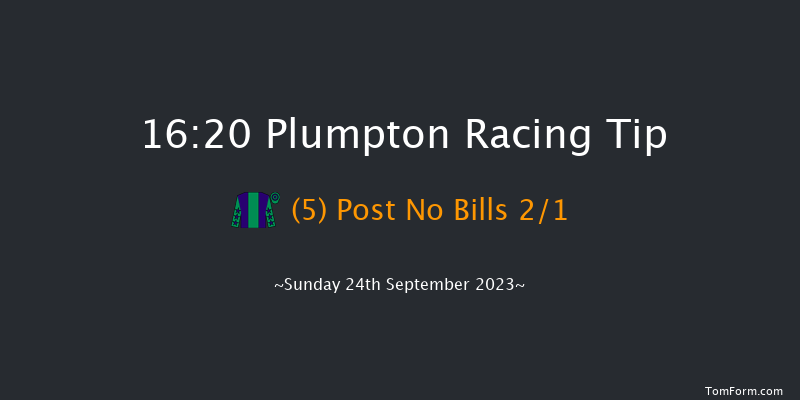 Plumpton 16:20 Handicap Chase (Class 4) 17f Sun 14th May 2023