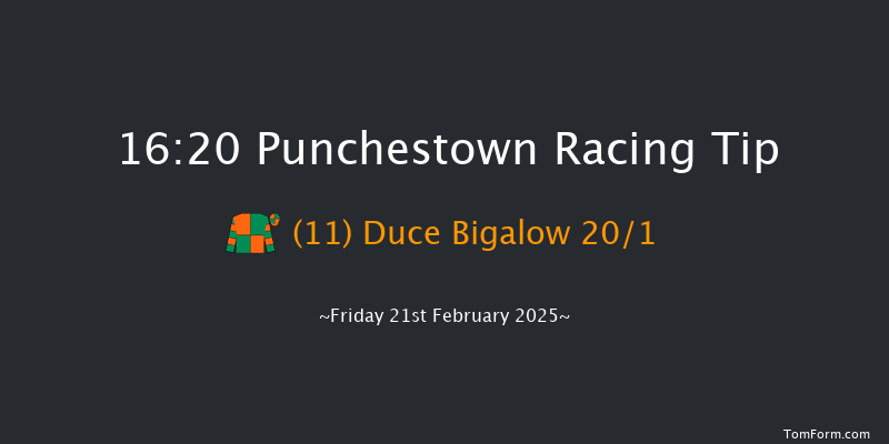 Punchestown  16:20 Handicap Hurdle 20f Thu 20th Feb 2025