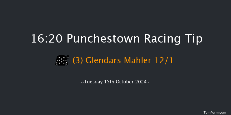 Punchestown  16:20 Handicap Hurdle 20f Tue 17th Sep 2024