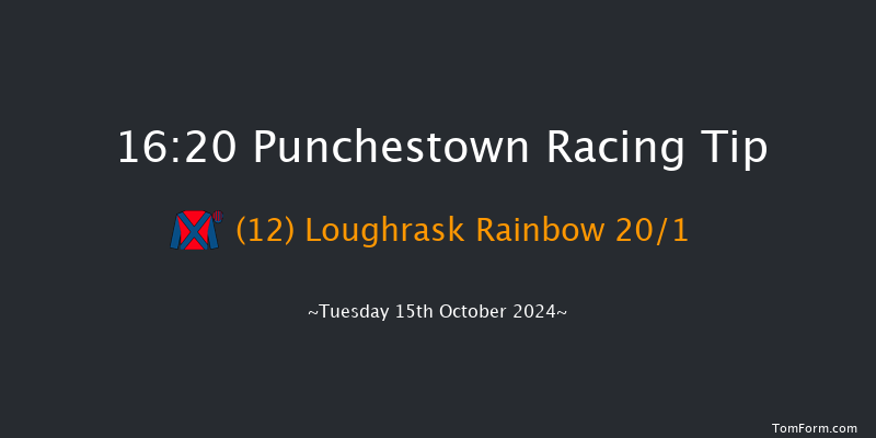 Punchestown  16:20 Handicap Hurdle 20f Tue 17th Sep 2024