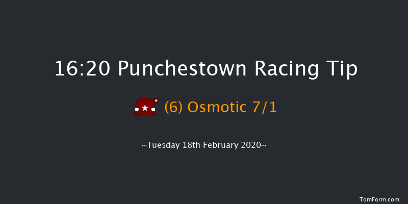 Leinster Leader Maiden Hurdle Punchestown 16:20 Maiden Hurdle 22f Wed 15th Jan 2020