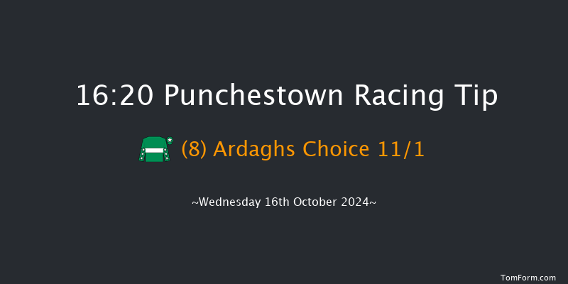 Punchestown  16:20 Handicap Chase 23f Tue 15th Oct 2024