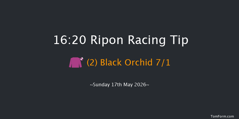 Ripon 16-20 (Class 4) 6f Fri 8th May 2026