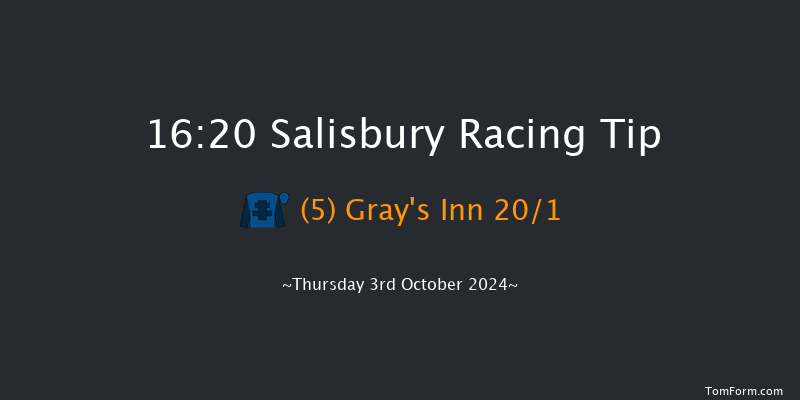 Salisbury  16:20 Handicap (Class 4) 10f  Fri 13th Sep 2024