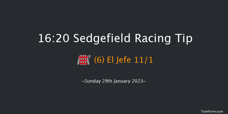 Sedgefield 16:20 Handicap Hurdle (Class 5) 17f Fri 13th Jan 2023