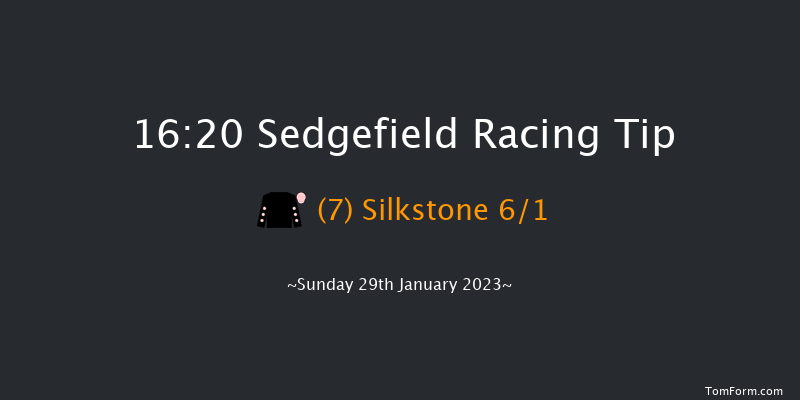 Sedgefield 16:20 Handicap Hurdle (Class 5) 17f Fri 13th Jan 2023