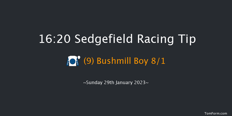 Sedgefield 16:20 Handicap Hurdle (Class 5) 17f Fri 13th Jan 2023