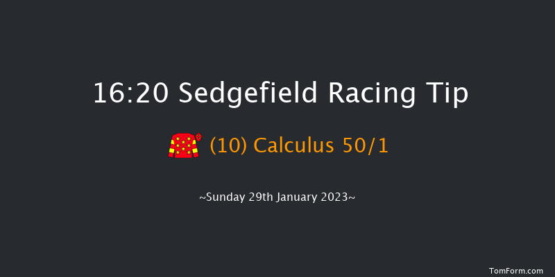 Sedgefield 16:20 Handicap Hurdle (Class 5) 17f Fri 13th Jan 2023