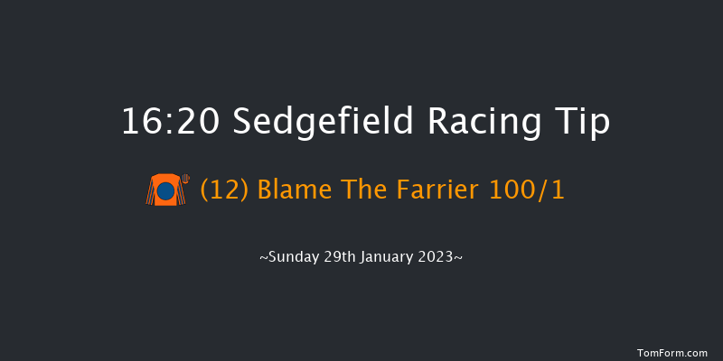 Sedgefield 16:20 Handicap Hurdle (Class 5) 17f Fri 13th Jan 2023