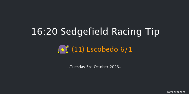 Sedgefield 16:20 Handicap Hurdle (Class 5) 17f Fri 14th Apr 2023