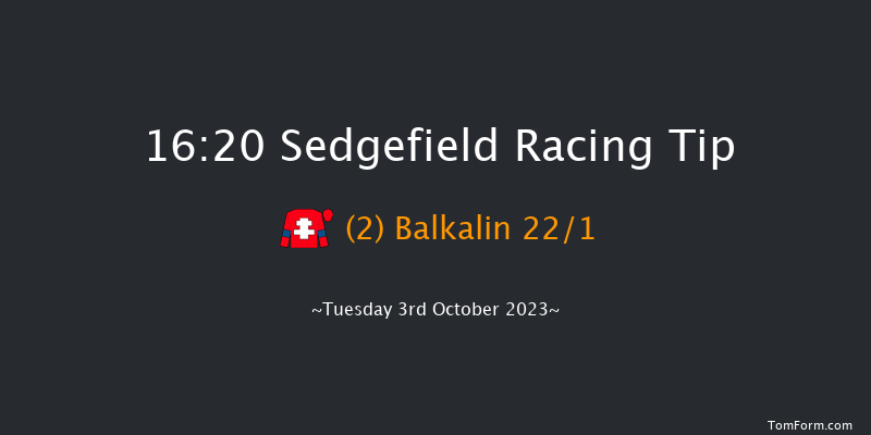 Sedgefield 16:20 Handicap Hurdle (Class 5) 17f Fri 14th Apr 2023