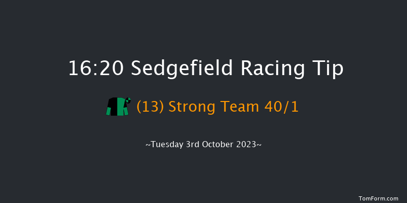 Sedgefield 16:20 Handicap Hurdle (Class 5) 17f Fri 14th Apr 2023